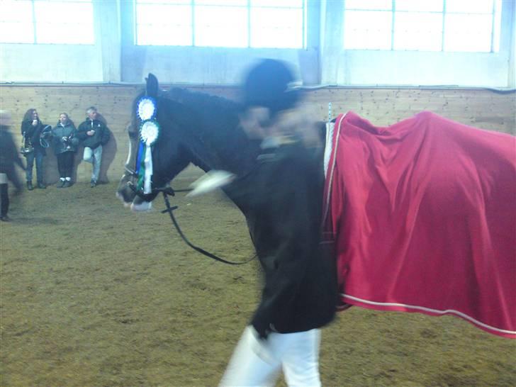 Til Kath - Næstved Rideklub stævne billede 13