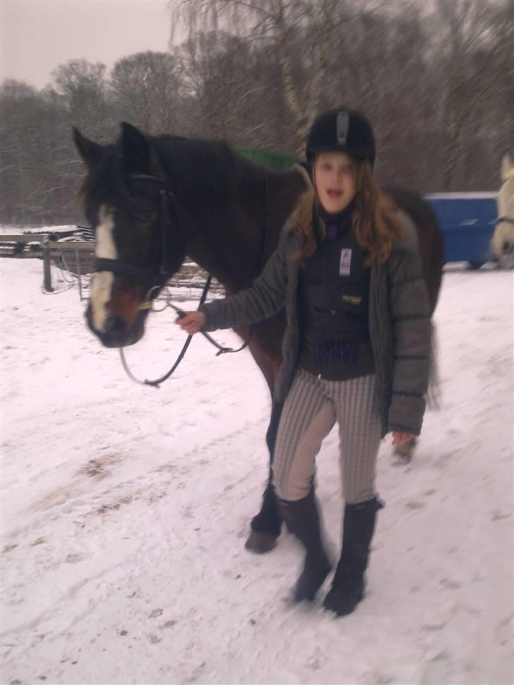 Blandede sne billeder(: - Mig og dyret XD billede 1