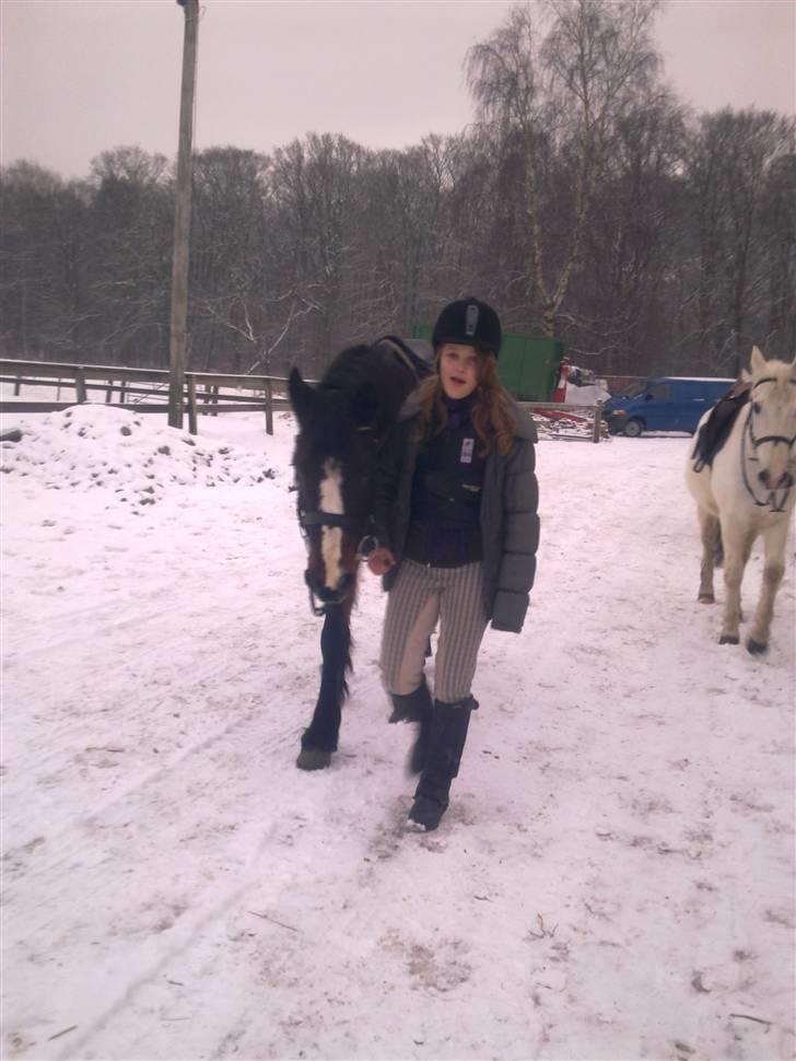 Blandede sne billeder(: billede 2