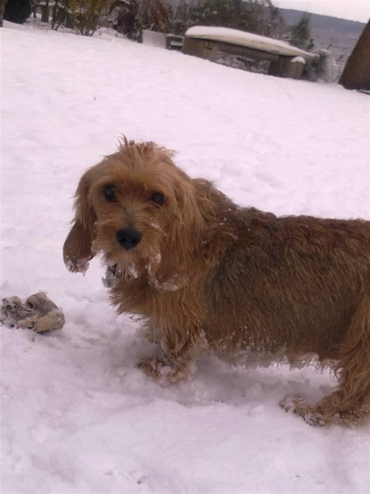 Blandede sne billeder(: - Cutiie Manda billede 10