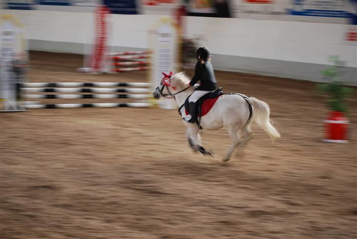 Lucky - Æresrunde, efter 1. pladsen . Regionsstævnet ,Sportsrideklubben Thisted ,Oktober 2009. billede 24