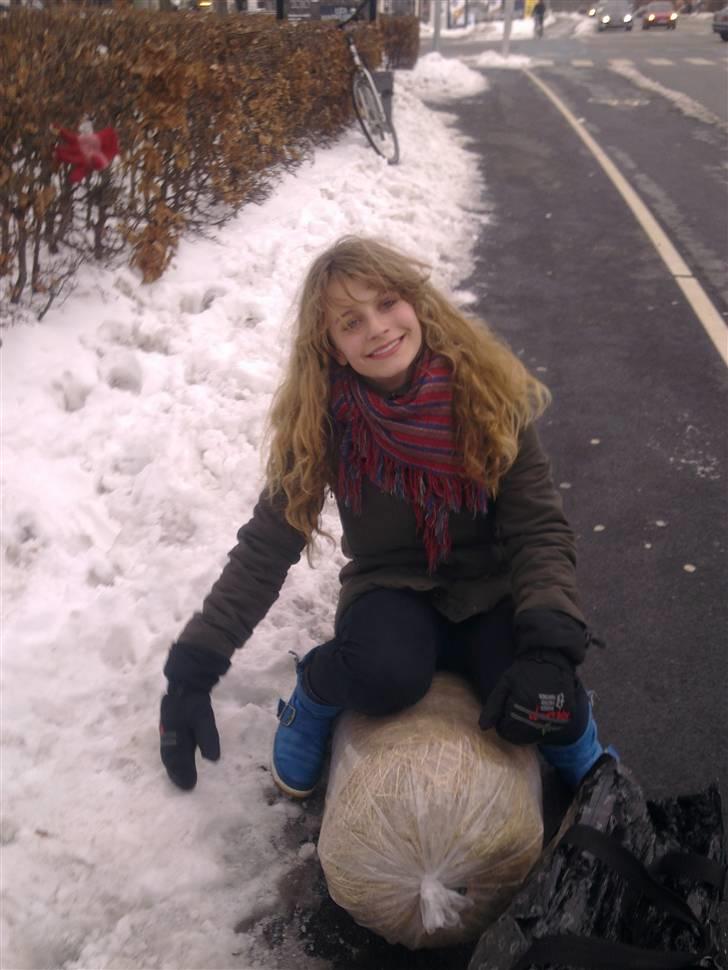 Blandede sne billeder(: - Pi forstiller sig at hvis man sidder på en bunke hø og lukker øjnene kan man flyve  <3 Pi skøre Pi ! ;b billede 28