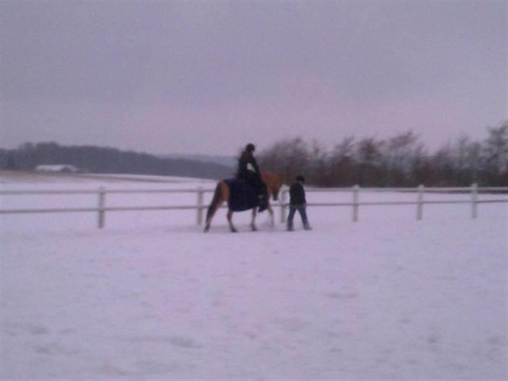 MIN ASSE RØV! - Mig, min mor og min mad mor! billede 5