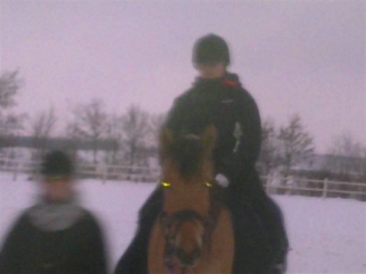 MIN ASSE RØV! - Lige en ride tur i sneen billede 6