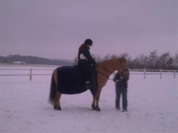 MIN ASSE RØV! - Ja det ser lidt godt nu! billede 7