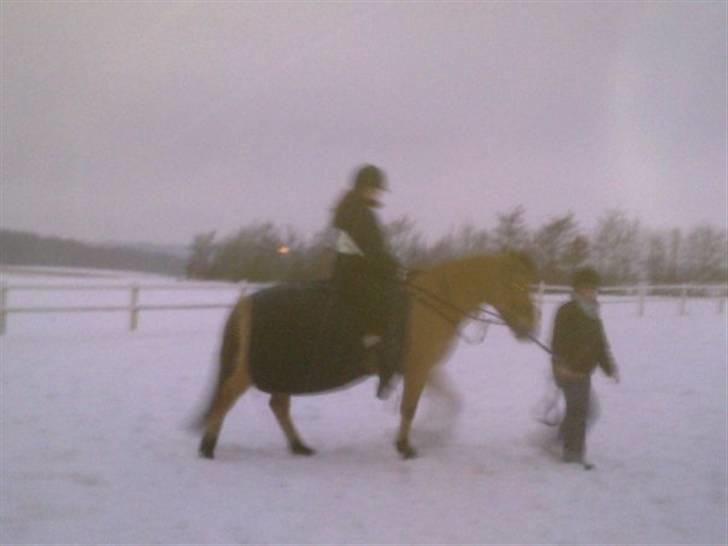 MIN ASSE RØV! - Min første regtig skrit tur i det fri i snart 4-5år. skulde lige have trækker på! :) billede 8