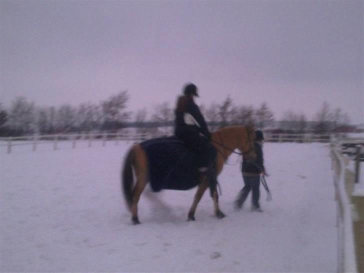 MIN ASSE RØV! - Ja det går fint billede 9