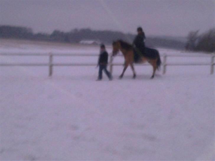 MIN ASSE RØV! billede 10