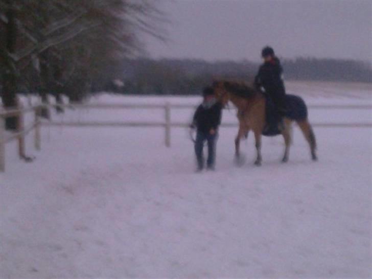 MIN ASSE RØV! billede 11