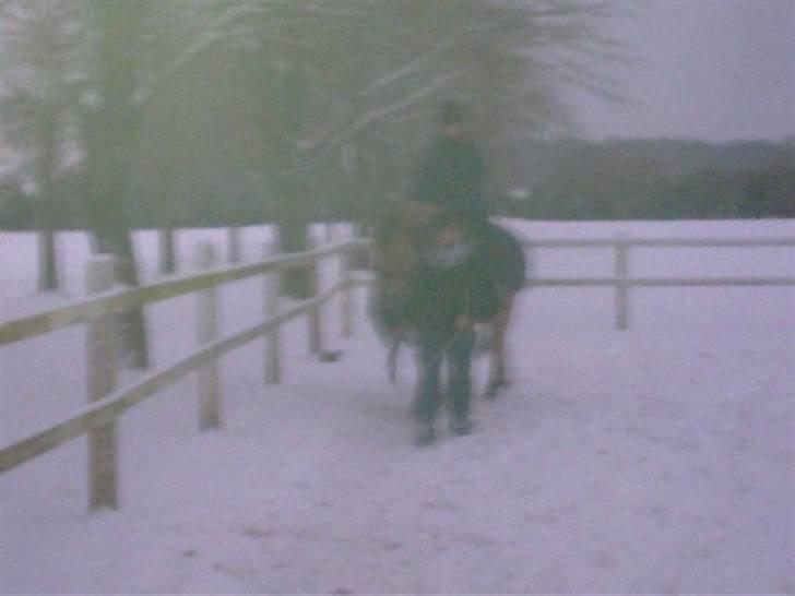 MIN ASSE RØV! billede 13