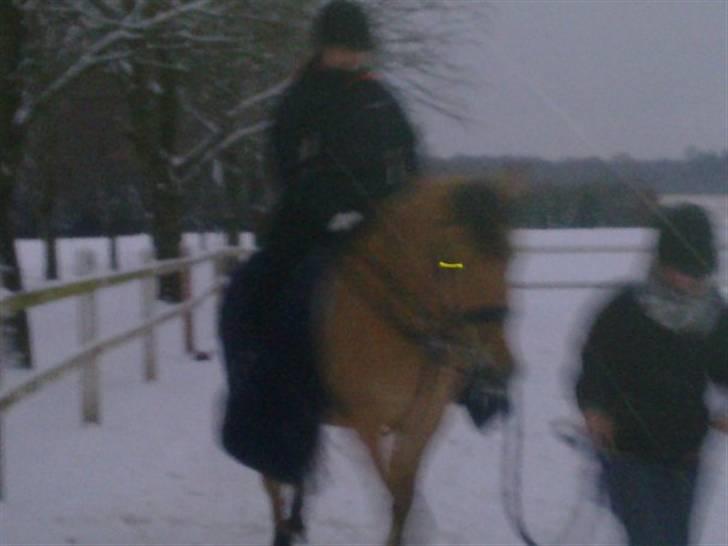 MIN ASSE RØV! billede 14