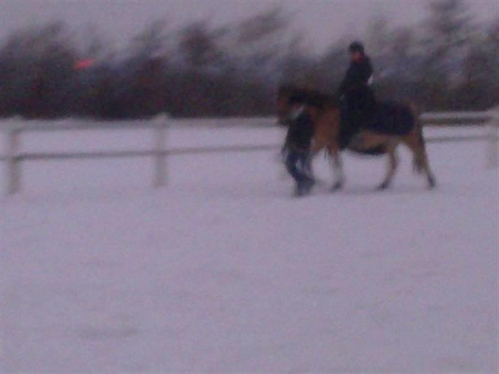 MIN ASSE RØV! billede 15