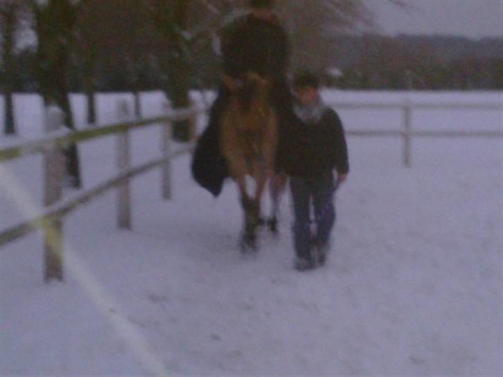 MIN ASSE RØV! billede 16