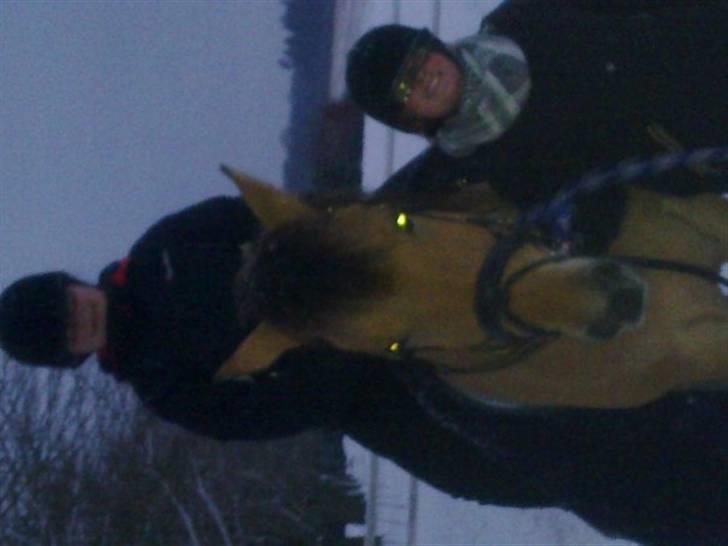 MIN ASSE RØV! - HEJ!  her er vi!!!!!!!!!!!!!!!!!!!!!! billede 17