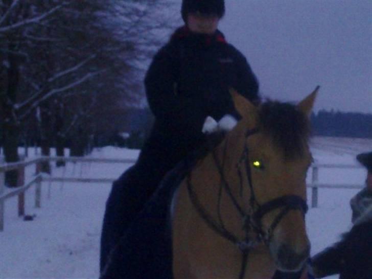 MIN ASSE RØV! - Mig og Asterix billede 18