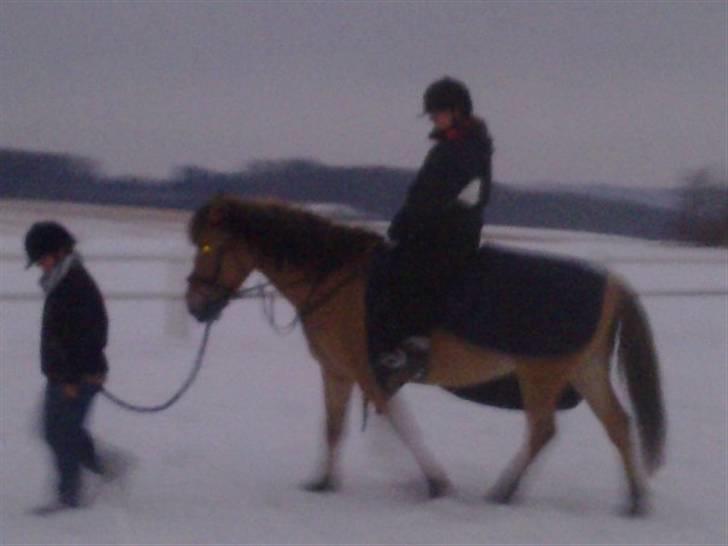 MIN ASSE RØV! billede 19