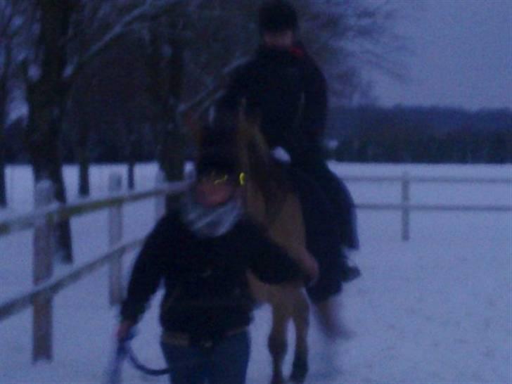 MIN ASSE RØV! billede 20