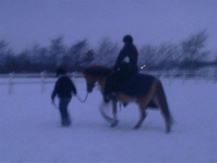 MIN ASSE RØV! billede 22