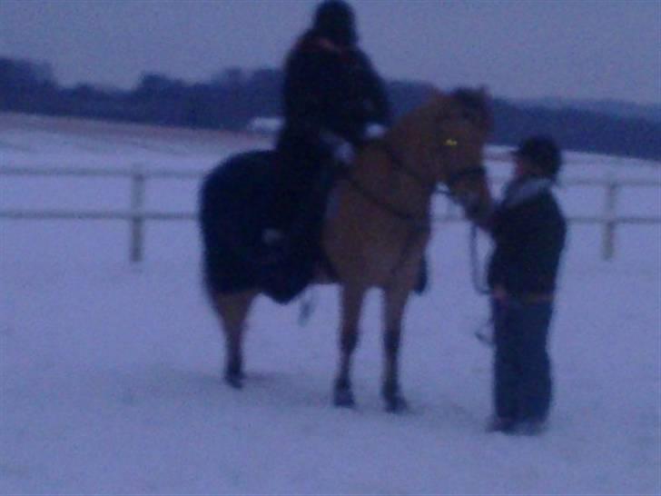 MIN ASSE RØV! billede 23