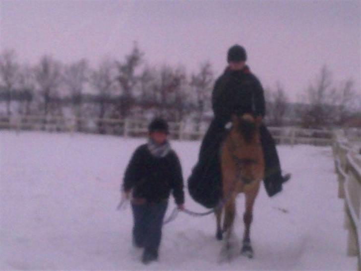 MIN ASSE RØV! billede 25