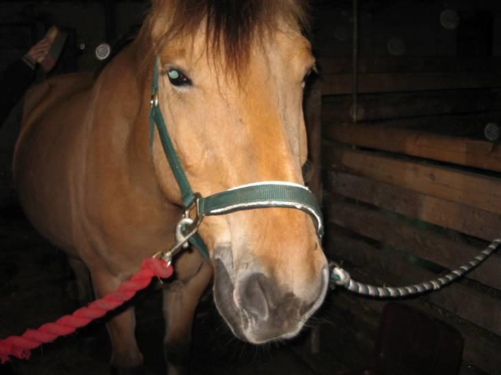 MIN ASSE RØV! - Uuuuuuuuuhhhhhhhhhhhhaaaaaaa det er godt det der! billede 29