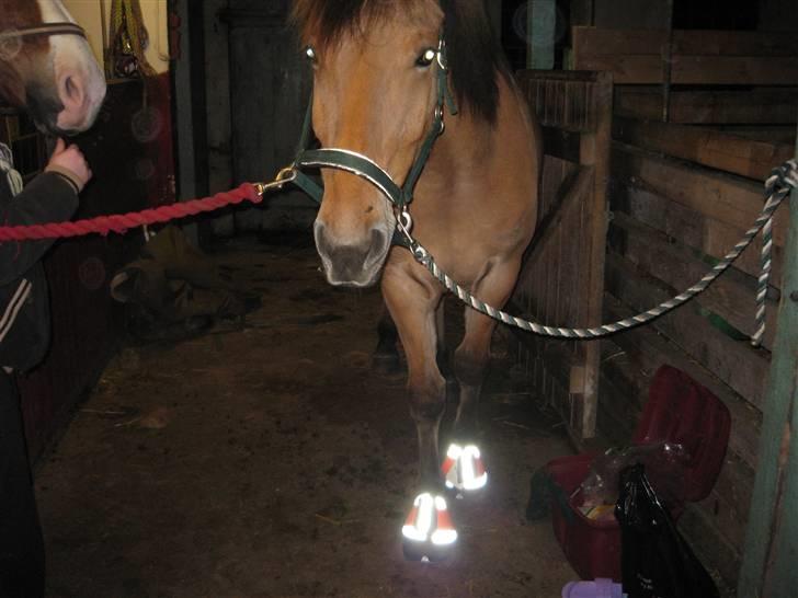 MIN ASSE RØV! - SE lige mine fine nye klokker jeg fik FAR! de skinder helt! billede 32