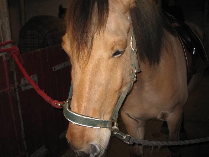 MIN ASSE RØV! - Mig der slapper af! billede 36