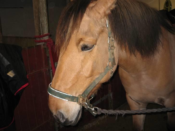 MIN ASSE RØV! - Uha søver jo næsten! billede 37