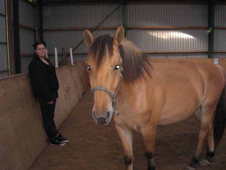 MIN ASSE RØV! - Ig og rikke! hun var min wekendet passer! når nu mor ikke kunne komme! billede 44