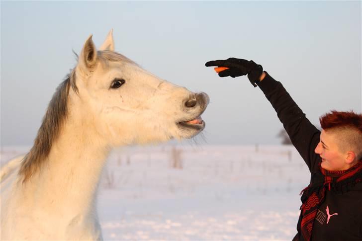 SNE leg med Chicoen !  d.11.februar.2010 - Nuurv ! billede 6