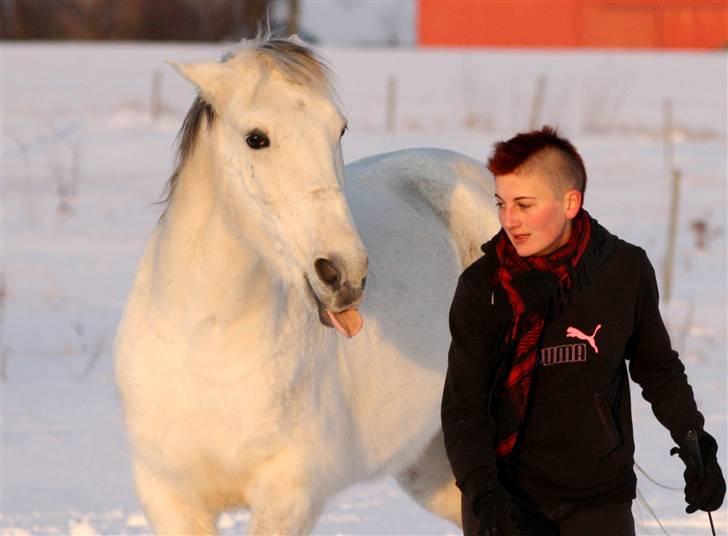 SNE leg med Chicoen !  d.11.februar.2010 - Kiksede skabninger?... ja tak, dét tror jeg nok ;] ! billede 7