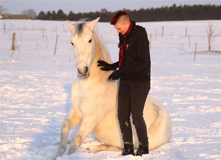 SNE leg med Chicoen !  d.11.februar.2010 - Sidde <3 .
Lidt af en udfordring, da Chicos forben hele tiden gled lidt i sneen xD billede 8