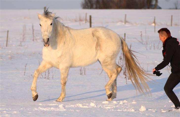 SNE leg med Chicoen !  d.11.februar.2010 - Kiksede kræ xD <3 billede 15