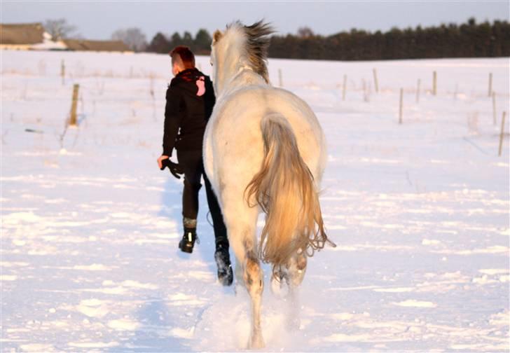 SNE leg med Chicoen !  d.11.februar.2010 - Wruum ! billede 16