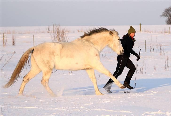 SNE leg med Chicoen !  d.11.februar.2010 - Hurtig som en Ninja ! billede 17