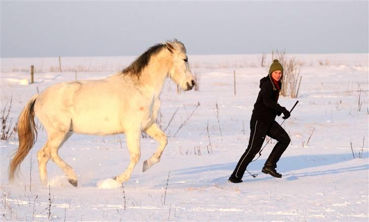 SNE leg med Chicoen !  d.11.februar.2010 - Snehare <3 billede 1