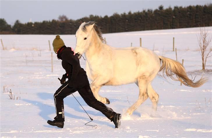 SNE leg med Chicoen !  d.11.februar.2010 - Wruum ! billede 19