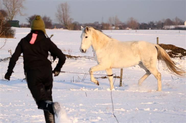 SNE leg med Chicoen !  d.11.februar.2010 - Høje benløft? Det tror jeg nok ! :D .
Min lille spansker ;) <3 billede 20