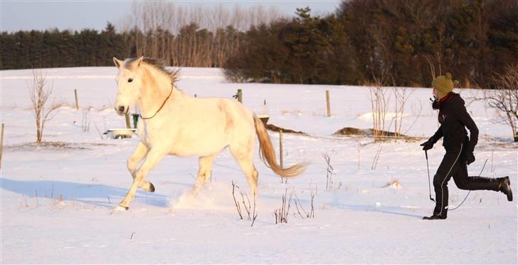 SNE leg med Chicoen !  d.11.februar.2010 billede 31