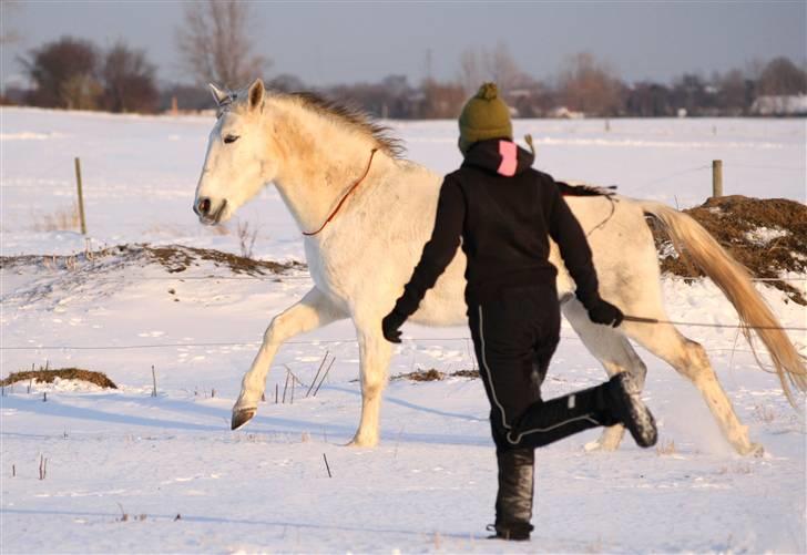 SNE leg med Chicoen !  d.11.februar.2010 billede 33