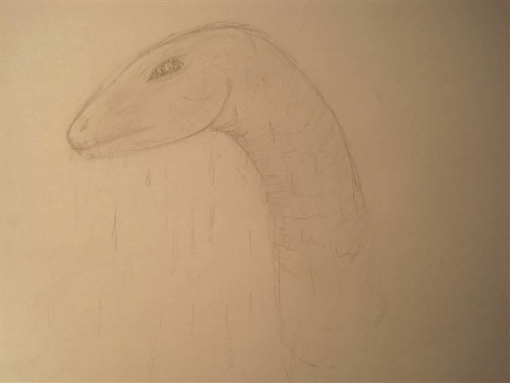 Mine Tegninger billede 2