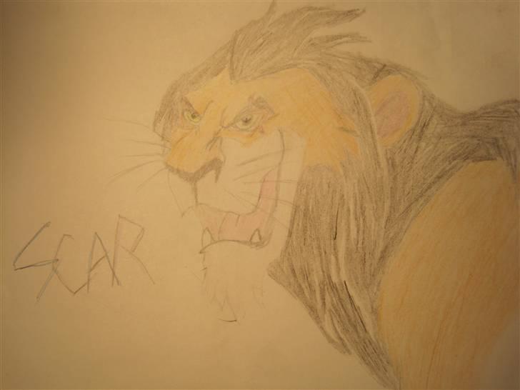 Mine Tegninger billede 13