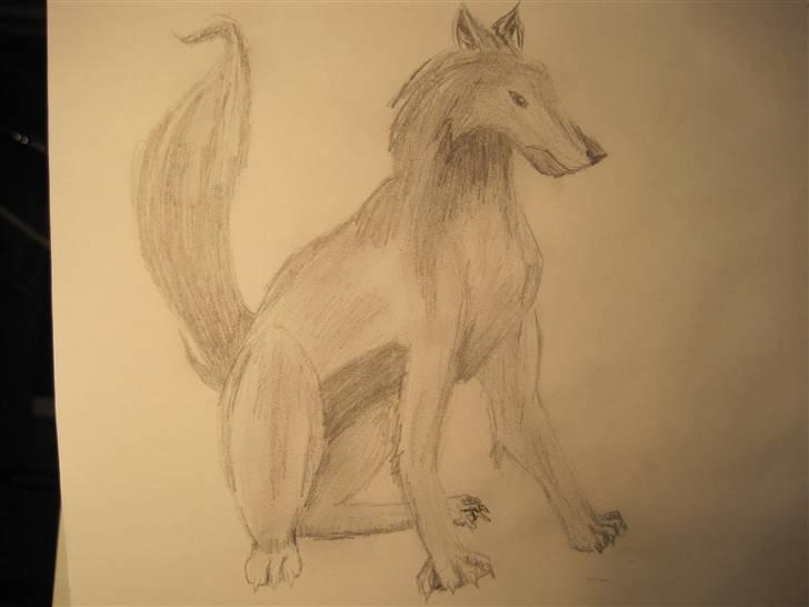 Mine Tegninger billede 15