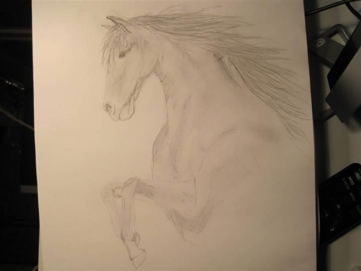 Mine Tegninger - Enten for stor bringe eller for små ben billede 16