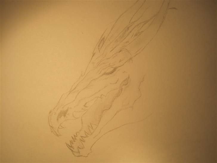 Mine Tegninger billede 17