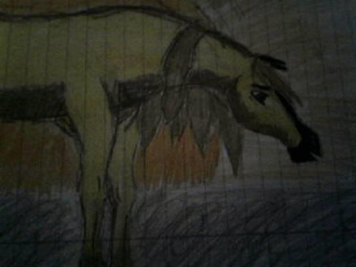 Manduzz(Min veninde)'s tegninger. billede 1