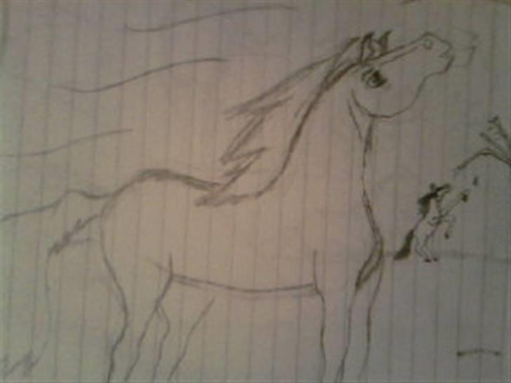 Manduzz(Min veninde)'s tegninger. billede 2