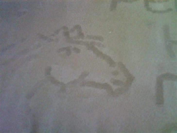 Manduzz(Min veninde)'s tegninger. billede 5