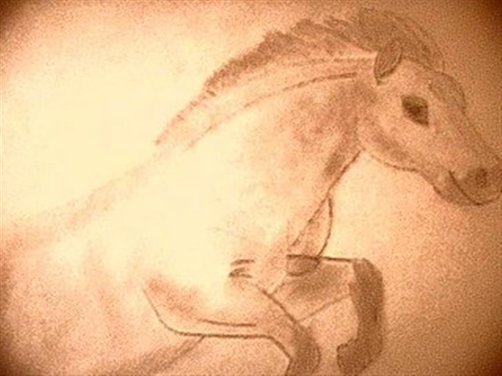 Manduzz(Min veninde)'s tegninger. billede 6