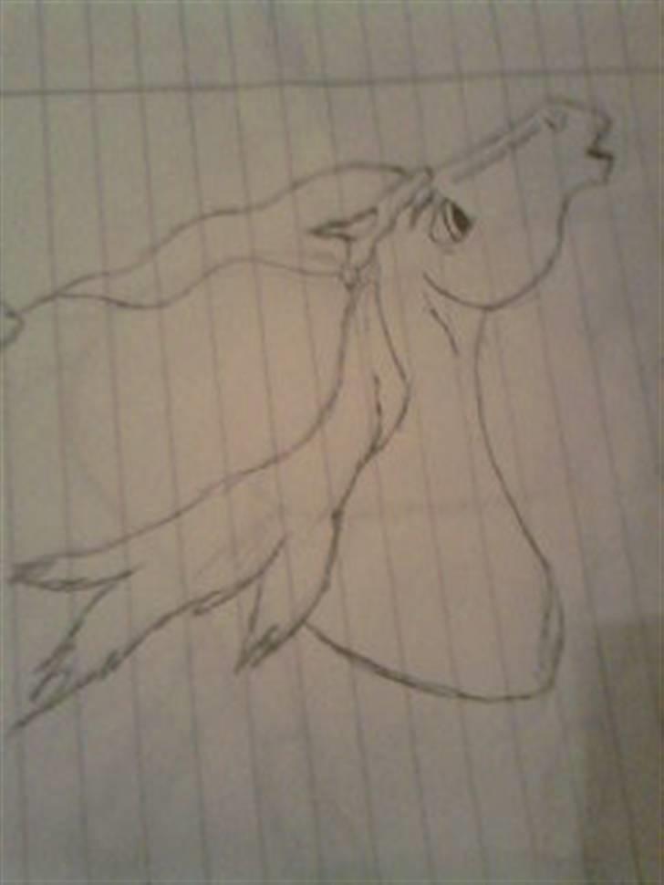 Manduzz(Min veninde)'s tegninger. billede 13